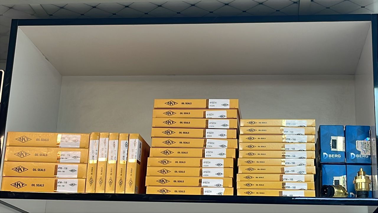 کاسه نمد اصلی SKT